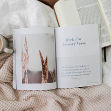 Load image into Gallery viewer, Vol. 1 | Matthew | New Testament