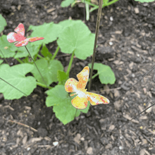 Load image into Gallery viewer, Small Butterflies Enamel