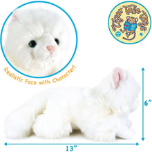 Load image into Gallery viewer, Puff the Persian Cat