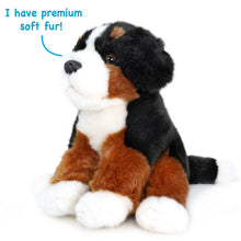 Load image into Gallery viewer, Bastien The Bernese Mountain Dog
