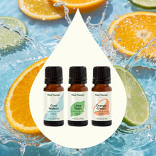 Load image into Gallery viewer, Plant Therapy - Summer Splash Essential Oil Blend Set