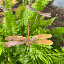Load image into Gallery viewer, Copper Dragonflies