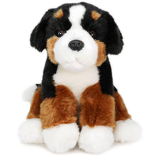 Load image into Gallery viewer, Bastien The Bernese Mountain Dog