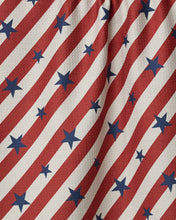 Load image into Gallery viewer, Patriotic Stripe Tea Towel | Geometry