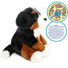Load image into Gallery viewer, Bastien The Bernese Mountain Dog