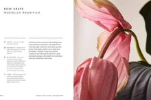 Load image into Gallery viewer, Union Square & Co. - The Healing Power of Plants By Fran Bailey