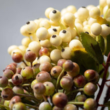 Load image into Gallery viewer, NEUTRAL BERRY PICK SET OF 2