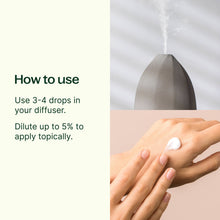 Load image into Gallery viewer, Plant Therapy - Peppermint Essential Oil 10 mL