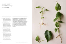 Load image into Gallery viewer, Union Square & Co. - The Healing Power of Plants By Fran Bailey