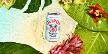 Load image into Gallery viewer, Tropical Punch |Olipop
