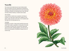 Load image into Gallery viewer, A Little Book of Flowers: Dahlias | Paige Tate & Co