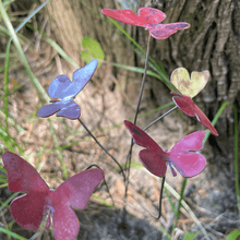 Load image into Gallery viewer, Butterflies Bare Copper
