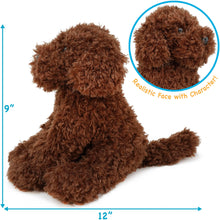 Load image into Gallery viewer, Laurel The Labradoodle