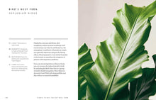 Load image into Gallery viewer, Union Square & Co. - The Healing Power of Plants By Fran Bailey