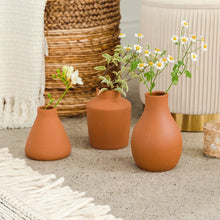 Load image into Gallery viewer, Clay Table Vase Set - Brown Terra Cotta