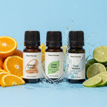 Load image into Gallery viewer, Plant Therapy - Summer Splash Essential Oil Blend Set