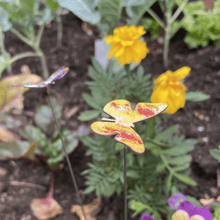 Load image into Gallery viewer, Small Butterflies Enamel