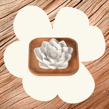 Load image into Gallery viewer, Plant Therapy - Lotus Passive Essential Oil Diffuser