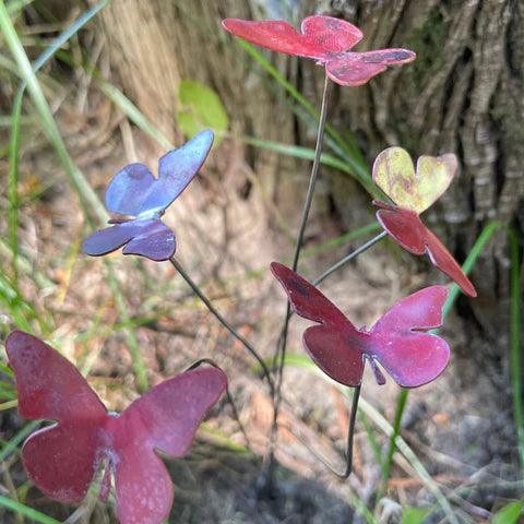 Butterfly Garden