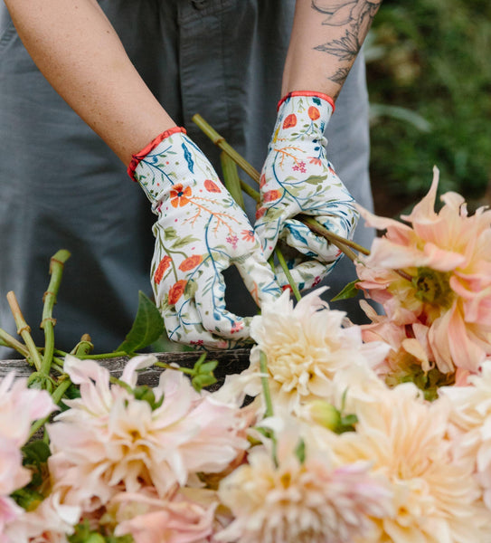 Dirty Spring Hands