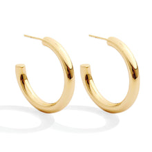 Load image into Gallery viewer, Silver Hoop Earrings | Splendid Iris
