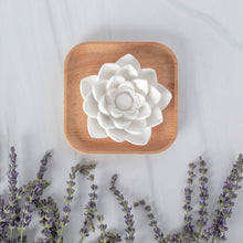 Load image into Gallery viewer, Plant Therapy - Lotus Passive Essential Oil Diffuser
