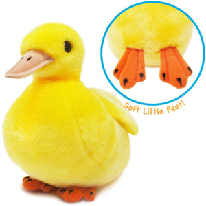 Dani The Duckling