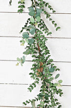 Load image into Gallery viewer, Garland | Mixed Eucalyptus
