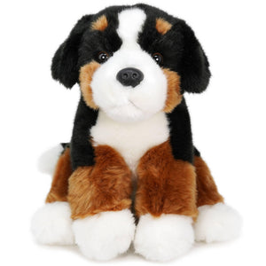 Bastien The Bernese Mountain Dog