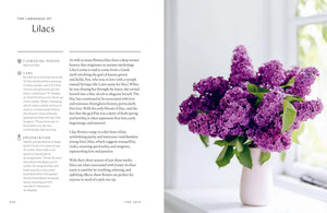 Union Square & Co. - Healing Power of Flowers by Claire Bowen