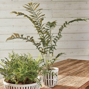 Sword Fern Drop-In 32"