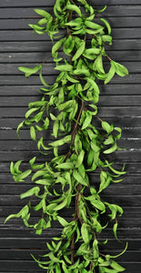 Garland | Mix Green Herbs