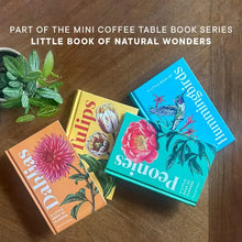 Load image into Gallery viewer, A Little Book of Flowers: Dahlias | Paige Tate &amp; Co
