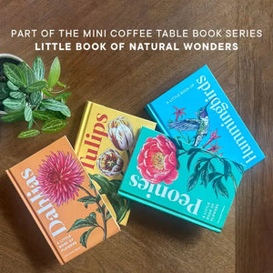 A Little Book of Flowers: Dahlias | Paige Tate & Co