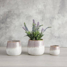 Load image into Gallery viewer, Lavender Pot Lg
