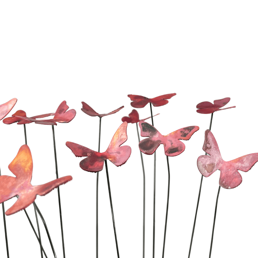 Butterflies Bare Copper