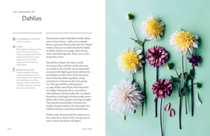 Union Square & Co. - Healing Power of Flowers by Claire Bowen