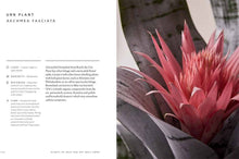 Load image into Gallery viewer, Union Square &amp; Co. - The Healing Power of Plants By Fran Bailey
