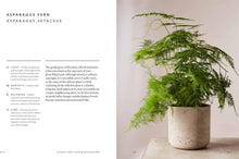 Load image into Gallery viewer, Union Square &amp; Co. - The Healing Power of Plants By Fran Bailey
