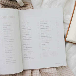 Vol. 1 | Matthew | New Testament