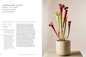 Union Square & Co. - The Healing Power of Plants By Fran Bailey