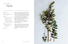 Load image into Gallery viewer, Union Square &amp; Co. - Healing Power of Flowers by Claire Bowen
