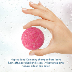 Sunkissed Shampoo Natural Bar | Naples Soap Company