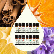 Load image into Gallery viewer, Plant Therapy - Top 14 Essential Oil Singles Set
