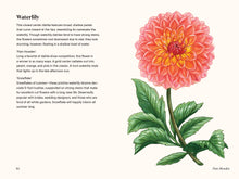 Load image into Gallery viewer, A Little Book of Flowers: Dahlias | Paige Tate &amp; Co
