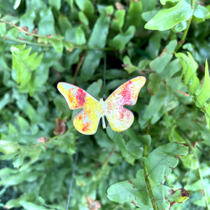 Small Butterflies Enamel