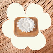 Load image into Gallery viewer, Plant Therapy - Passive Sunflower Essential Oil Diffuser
