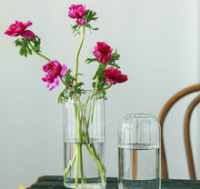 Load image into Gallery viewer, Stripes Clear Bud Vases, Borosilicate Light Weight Glass: 6&#39;&#39;T | Sweet Home Deco
