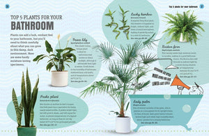How Not to Kill Your Houseplant: Survival Tips | Microcosm Publishing & Distribution