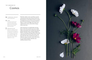 Union Square & Co. - Healing Power of Flowers by Claire Bowen